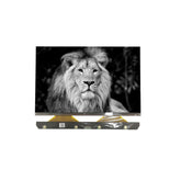 TM089CFSP01 Anycubic Photon Mono X 8.9inch 4K Monochrome LCD display